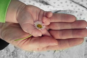Jurisprudencia: Cuidado personal del hijo